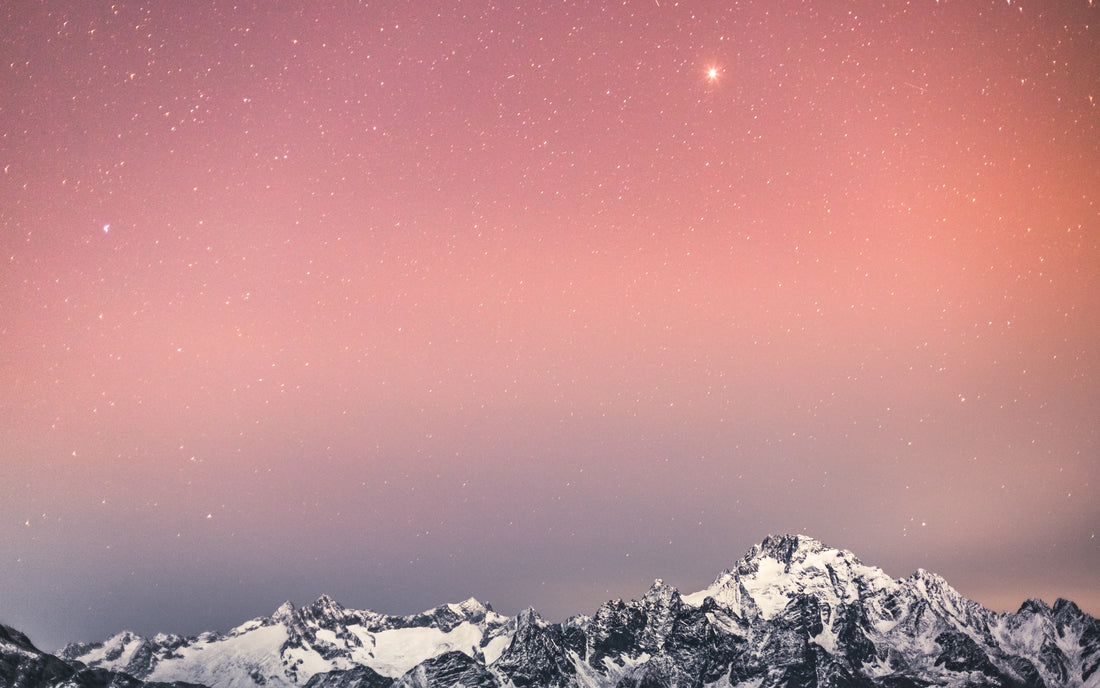 Finding your CX North Star - and sticking to it